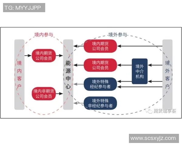独家解读IG耐力对比分析及其对市场的影响探讨